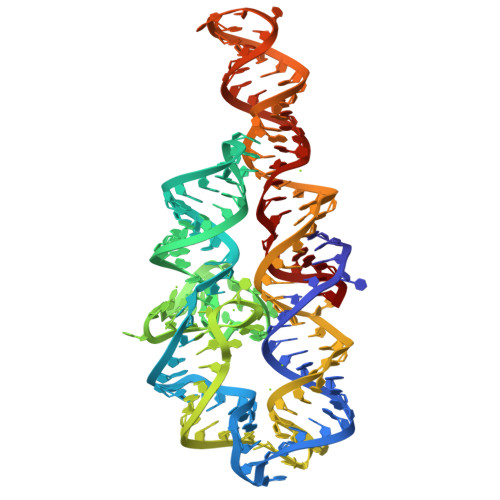 RCSB PDB - 6D8O: Group I self-splicing intron P4-P6 domain mutant A230U