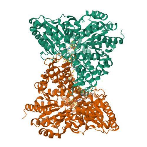 その他 Naaa RCSB PDB - 6DC2: Crystal structure of Desulfovibrio vulgaris