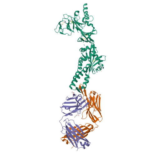 RCSB PDB - 6DC5: RSV prefusion F in complex with AM22 Fab