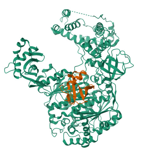 Rcsb Pdb 6dc6 Crystal Structure Of Human Ubiquitin Activating Enzyme E1 Uba1 In Complex 8981