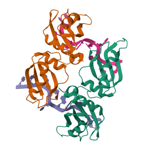 rcsb-pdb-6dcl-crystal-structure-of-up1-bound-to-pri-mirna-18a