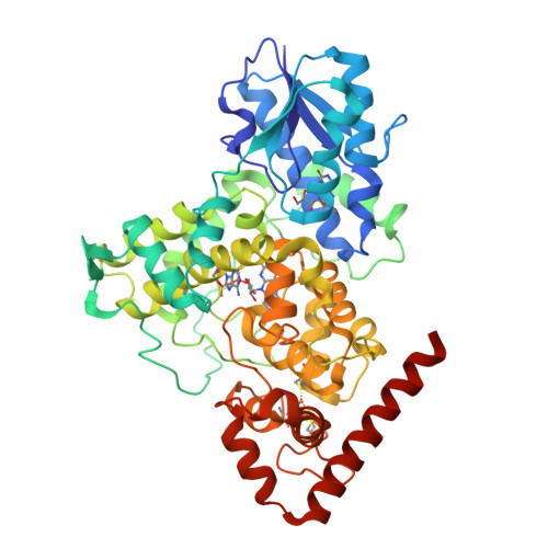 RCSB PDB - 6DD6: Crystal Structure Of Bacterial (6-4) Photolyase PhrB ...