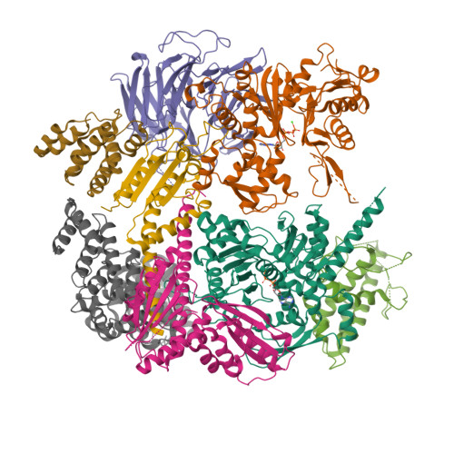 PDB 6DEC