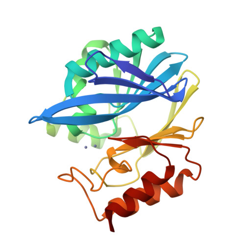 Metallo-beta-lactamase type 2 structure