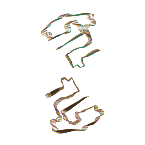 RCSB PDB - 6DSO: Cryo-EM structure of murine AA amyloid fibril