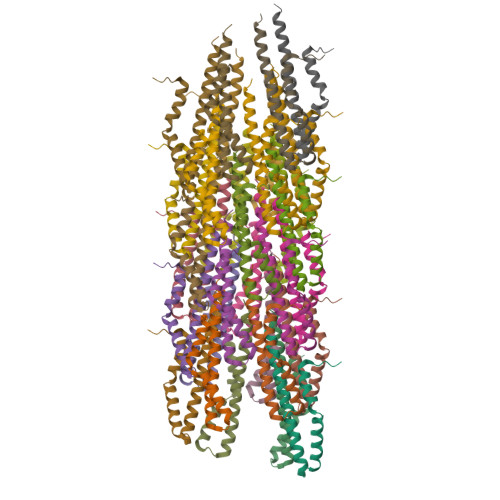 RCSB PDB - 6DWB: Structure of the Salmonella SPI-1 type III secretion ...