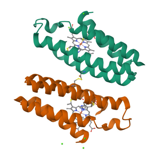 Cu-poページ PE anti-human SUSD2 Antibody anti-SUSD2 - W5C5