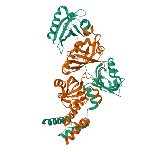 RCSB PDB - 6E3S: Crystal Structure of the Heterodimeric HIF-2 Complex ...