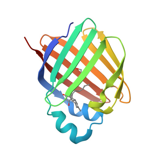 RCSB PDB - 6E5W: Crystal structure of human cellular retinol binding ...