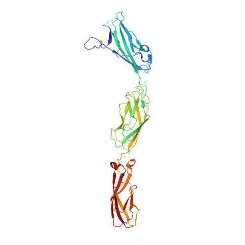 RCSB PDB - 6E8F: Crystal Structure of Human Protocadherin-15 EC3-5 CD2-1