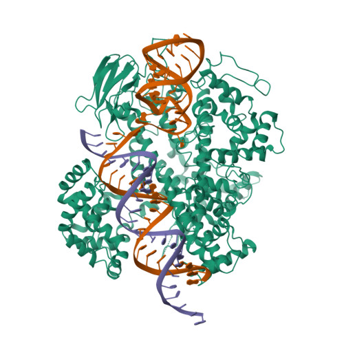 Accurate design of megadalton-scale two-component icosahedral protein  complexes – Baker Lab