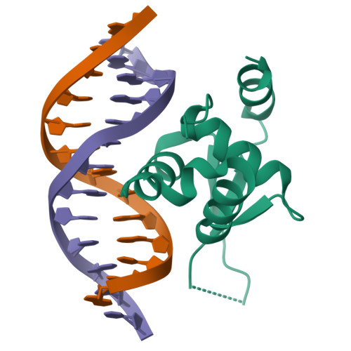 RCSB PDB - 6EL8: Crystal structure of the Forkhead domain of human