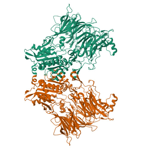 Dipeptidyl peptidase 8 structure