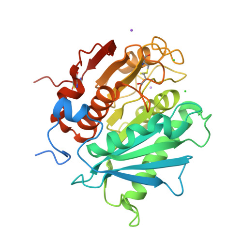 https://cdn.rcsb.org/images/structures/6eqe_model-1.jpeg