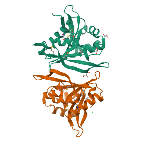 RCSB PDB - 6ERD: Crystal structure of a putative acetyltransferase from ...