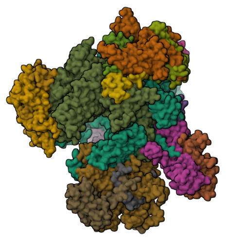 RCSB PDB - 6EU2: Apo RNA Polymerase III - open conformation (oPOL3)