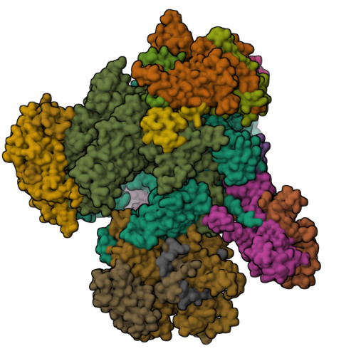 RCSB PDB - 6EU3: Apo RNA Polymerase III - closed conformation (cPOL3)