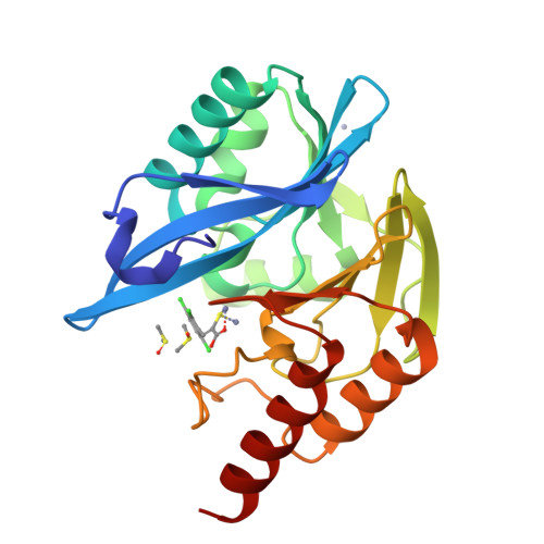 Metallo-beta-lactamase VIM-2 structure