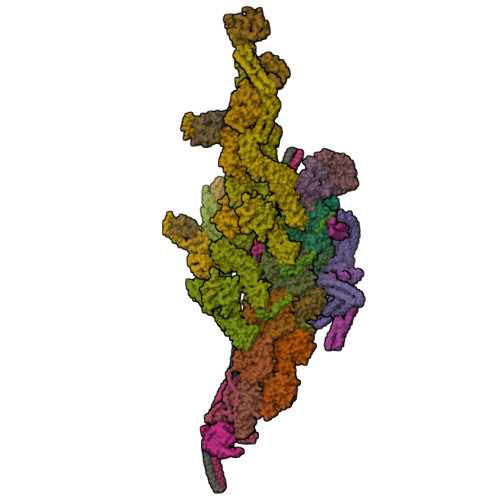PDB 6F1T