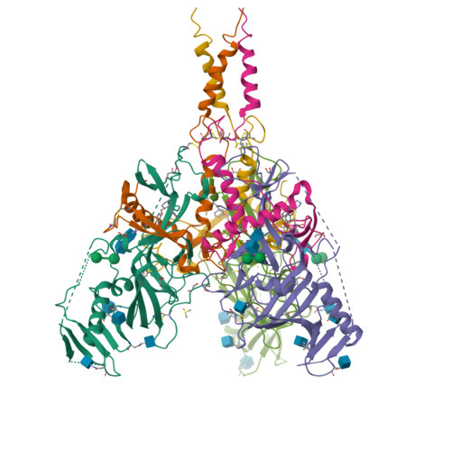 RCSB PDB - 6F6I: CRYSTAL STRUCTURE OF EBOLAVIRUS GLYCOPROTEIN IN
