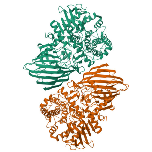Alpha-1,2-mannosidase, putative (BT_3130) structure