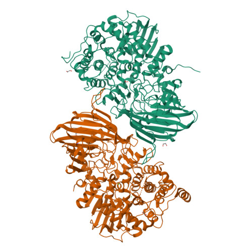 Alpha-1,2-mannosidase (BT_3965) structure