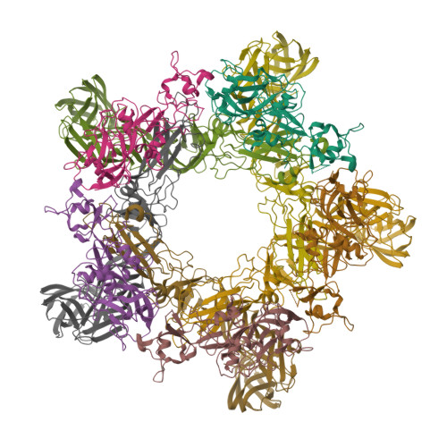 その他  Rift RCSB PDB - 6F9F: Model of the Rift Valley fever virus