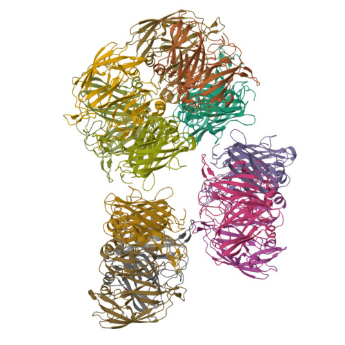 ffre様 RCSB PDB - 7MFF: Dimeric (BRAF)2:(14-3-3)2 complex bound to