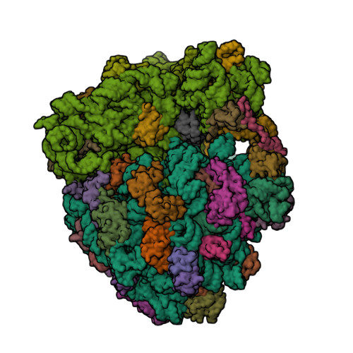 RCSB PDB - 6FKR: Crystal structure of the dolphin proline-rich 