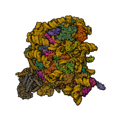 RCSB PDB   6FTI: Cryo EM Structure of the Mammalian