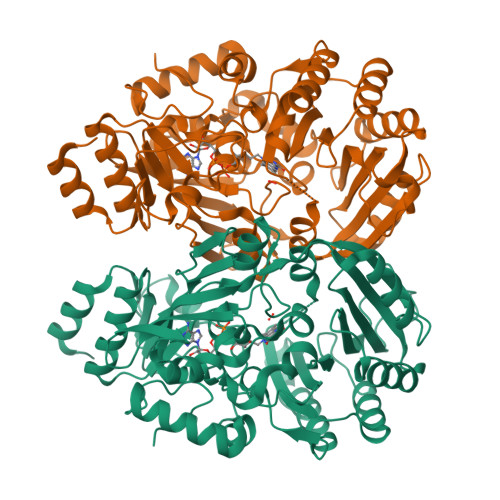 RCSB PDB - 6FYC: The crystal structure of EncM L144M mutant
