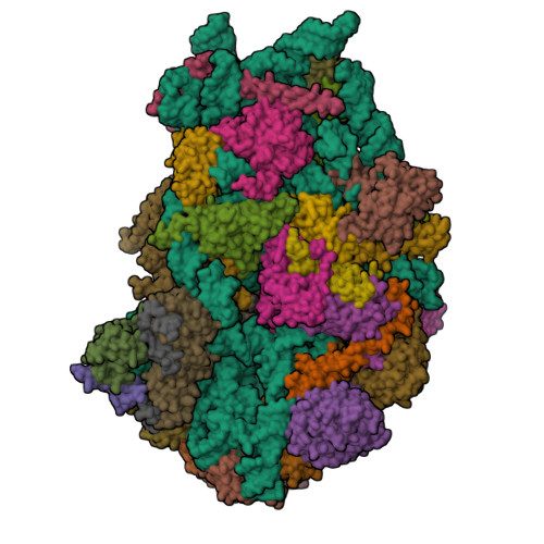 PDB 6G18