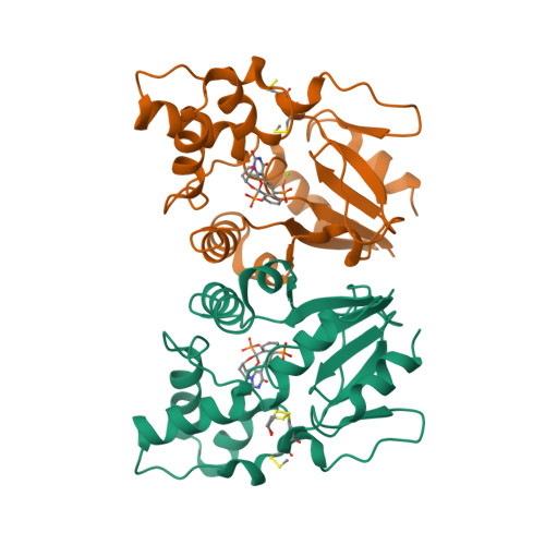 RCSB PDB - 6G2N: Crystal structure of human cytosolic 5'(3 ...