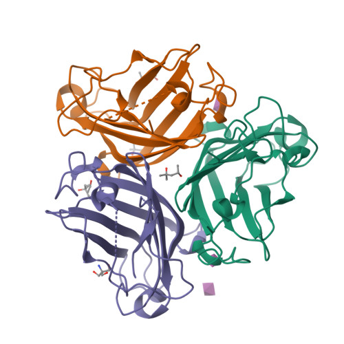 RCSB PDB - 6G47: Crystal Structure of Human Adenovirus 52 Short