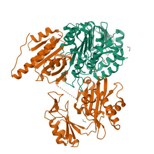 PDB 6G4Q