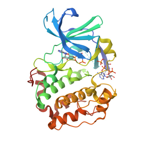 PDB 6G76