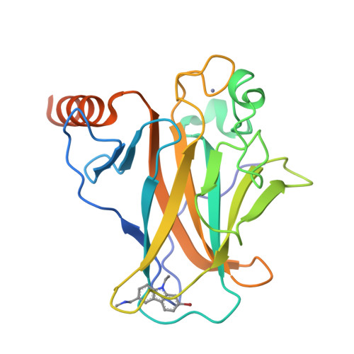 RCSB PDB - 6GGA: p53 cancer mutant Y220C in complex with small 