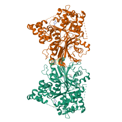 RCSB PDB - 6GQ3: Human asparagine synthetase (ASNS) in complex