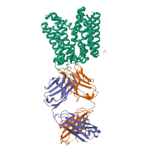 RCSB PDB - 6GV1: Crystal structure of E.coli Multidrug/H+ antiporter ...