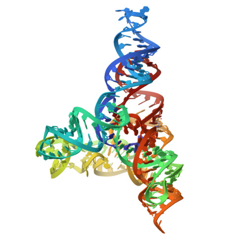 RCSB PDB - 6GYV: Lariat-capping ribozyme (circular permutation form)