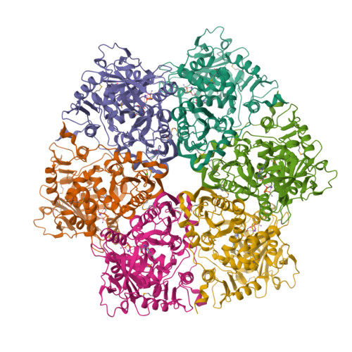 RCSB PDB - 6H6V: Structure of the UbiD-class enzyme HmfF from
