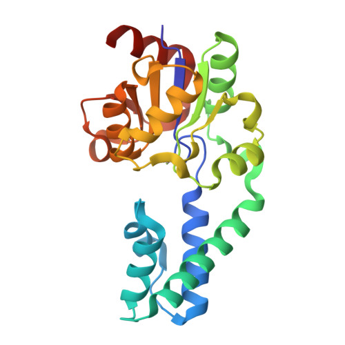 RCSB PDB - 6H8W: Beta-phosphoglucomutase from Lactococcus lactis in an ...