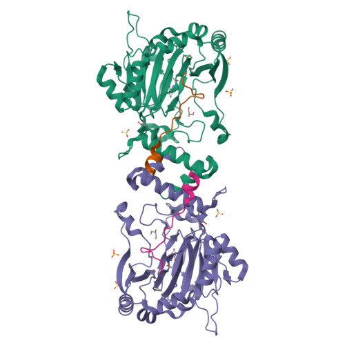 Transient receptor potential cation channel subfamily V member 3 structure