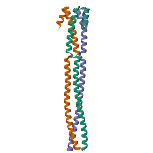 PDB 6H9M