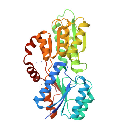 RCSB PDB - 6HBM: Crystal structure of MSMEG_1712 from Mycobacterium ...