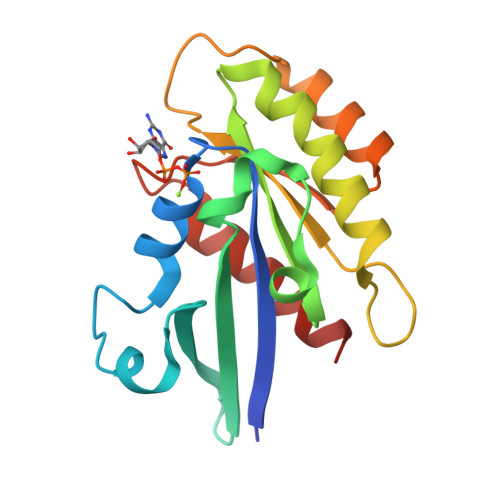 PDB 6HH2