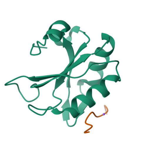Protein Rev structure