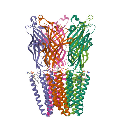 Rcsb Pdb Hjb Xray Structure Of Glic In Complex With Malonate