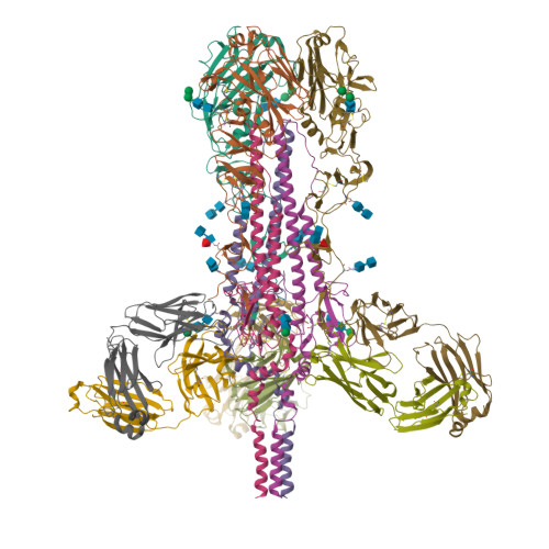RCSB PDB - 6HJQ: Structure of Full-length Influenza