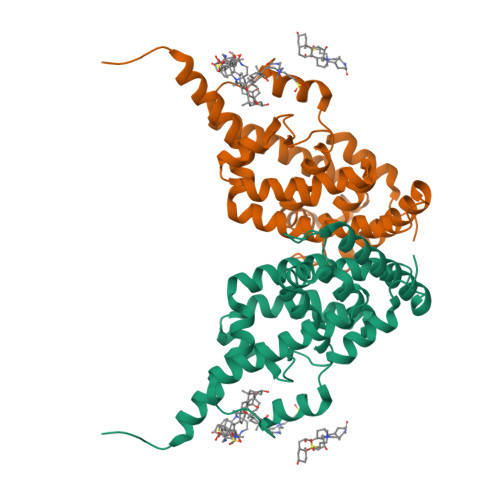 RCSB PDB - 6HN6: A revisited version of the apo structure of the